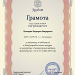 t 1 Чигинцева Виктория Викторовна DZ03